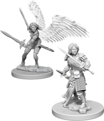 Aasimar Paladin Female (Nolzur's - W05)